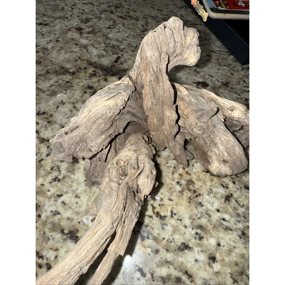 Driftwood‎ taxidermy log super super cool pieceThis very old. Flower arrangement